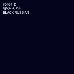 #04041D - Black Russian Color Image