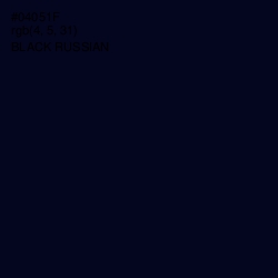 #04051F - Black Russian Color Image