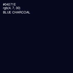 #04071E - Blue Charcoal Color Image