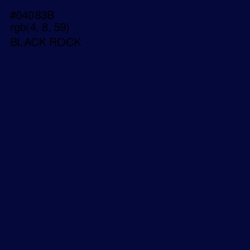 #04083B - Black Rock Color Image