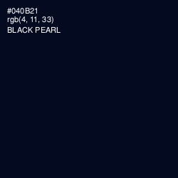 #040B21 - Black Pearl Color Image