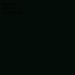 #040C07 - Marshland Color Image