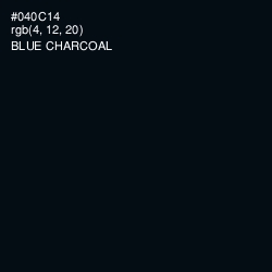#040C14 - Blue Charcoal Color Image