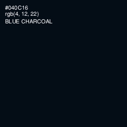 #040C16 - Blue Charcoal Color Image