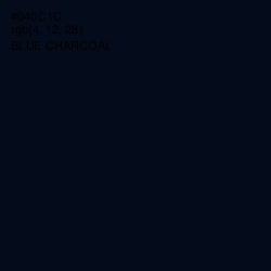 #040C1C - Blue Charcoal Color Image