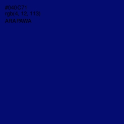 #040C71 - Arapawa Color Image