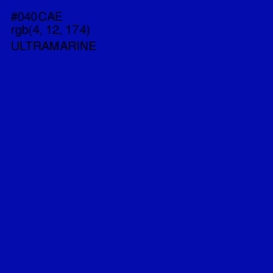 #040CAE - Ultramarine Color Image