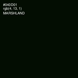#040D01 - Marshland Color Image