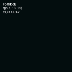 #040D0E - Cod Gray Color Image