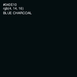 #040E10 - Blue Charcoal Color Image