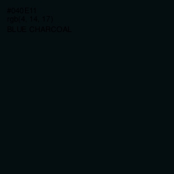 #040E11 - Blue Charcoal Color Image