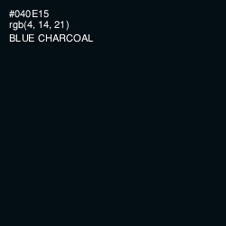 #040E15 - Blue Charcoal Color Image