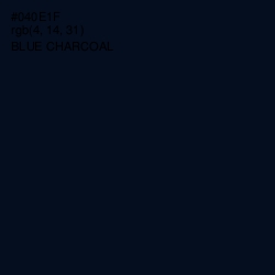 #040E1F - Blue Charcoal Color Image