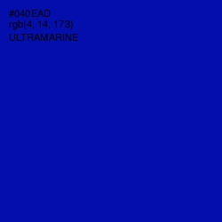 #040EAD - Ultramarine Color Image