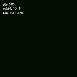 #040F01 - Marshland Color Image
