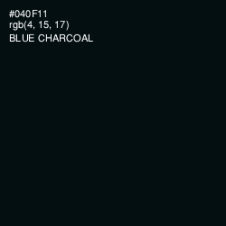 #040F11 - Blue Charcoal Color Image