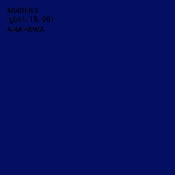 #040F63 - Arapawa Color Image