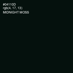 #04110D - Midnight Moss Color Image
