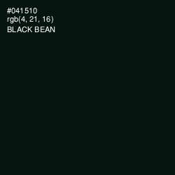 #041510 - Black Bean Color Image