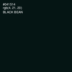#041514 - Black Bean Color Image