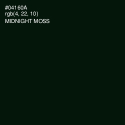#04160A - Midnight Moss Color Image