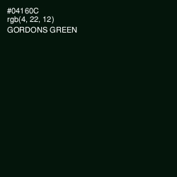 #04160C - Gordons Green Color Image