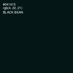 #041615 - Black Bean Color Image