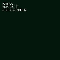 #04170C - Gordons Green Color Image