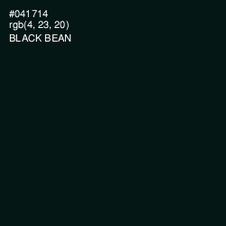 #041714 - Black Bean Color Image