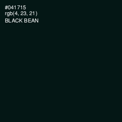 #041715 - Black Bean Color Image