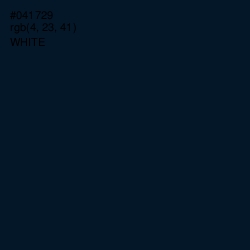 #041729 - Black Pearl Color Image