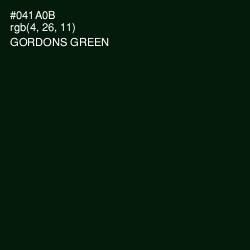 #041A0B - Gordons Green Color Image