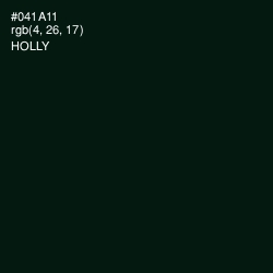 #041A11 - Holly Color Image