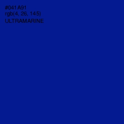 #041A91 - Ultramarine Color Image