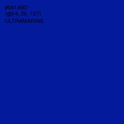 #041A9D - Ultramarine Color Image