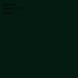 #041B11 - Holly Color Image