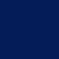 #041C57 - Gulf Blue Color Image