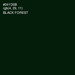#041D0B - Black Forest Color Image