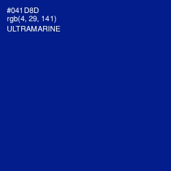 #041D8D - Ultramarine Color Image