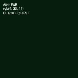 #041E0B - Black Forest Color Image