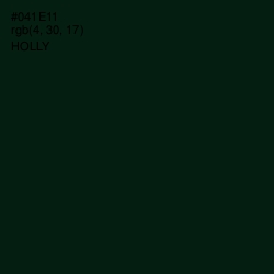 #041E11 - Holly Color Image