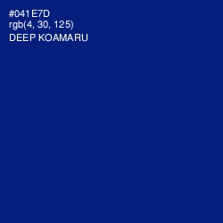 #041E7D - Deep Koamaru Color Image