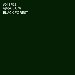 #041F03 - Black Forest Color Image