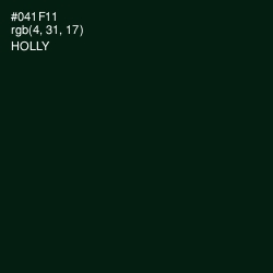 #041F11 - Holly Color Image