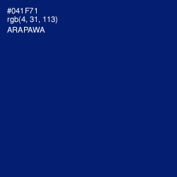 #041F71 - Arapawa Color Image