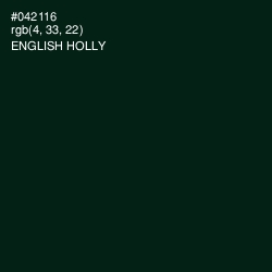 #042116 - English Holly Color Image