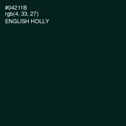 #04211B - English Holly Color Image
