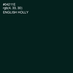 #04211E - English Holly Color Image