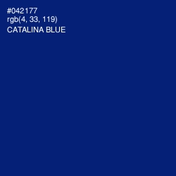 #042177 - Catalina Blue Color Image