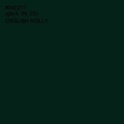 #042217 - English Holly Color Image